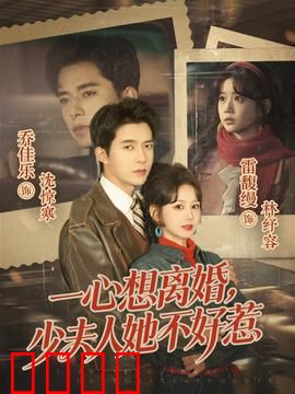 一心想离婚，少夫人她不好惹：逆袭之路